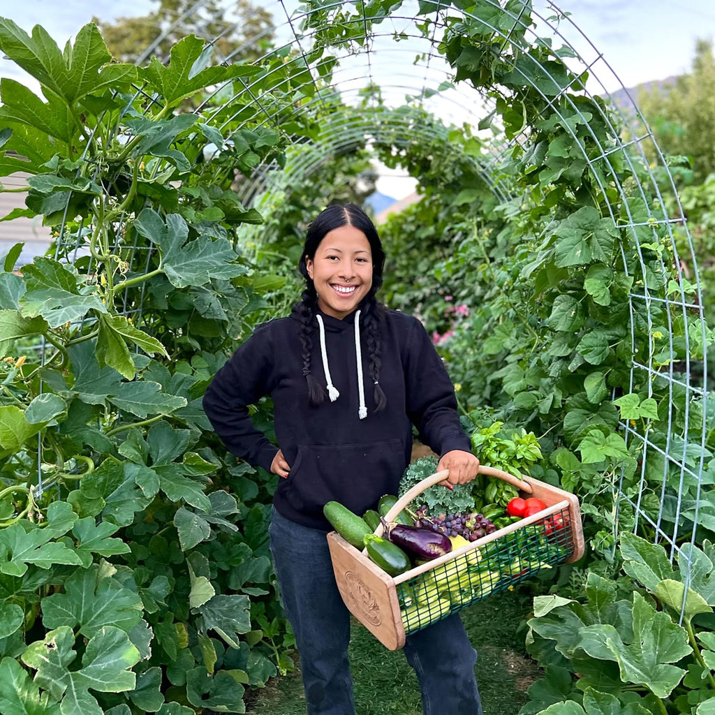 CottaCup Olla System – 2X Harvest, 61% Less Water