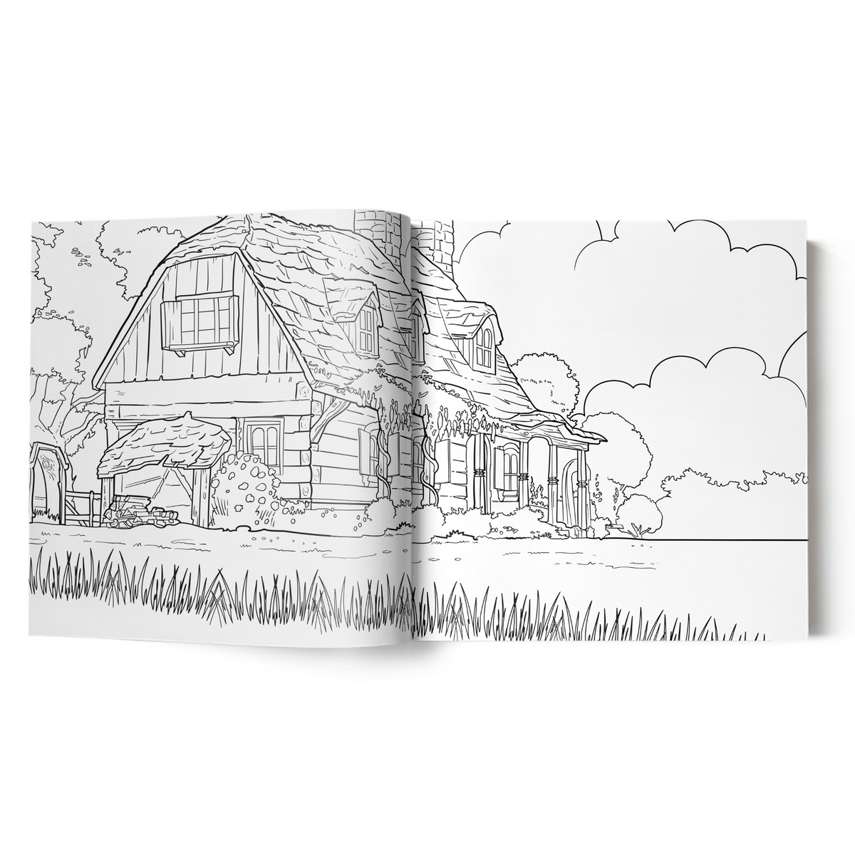 The Wingfeather Saga Coloring Book
