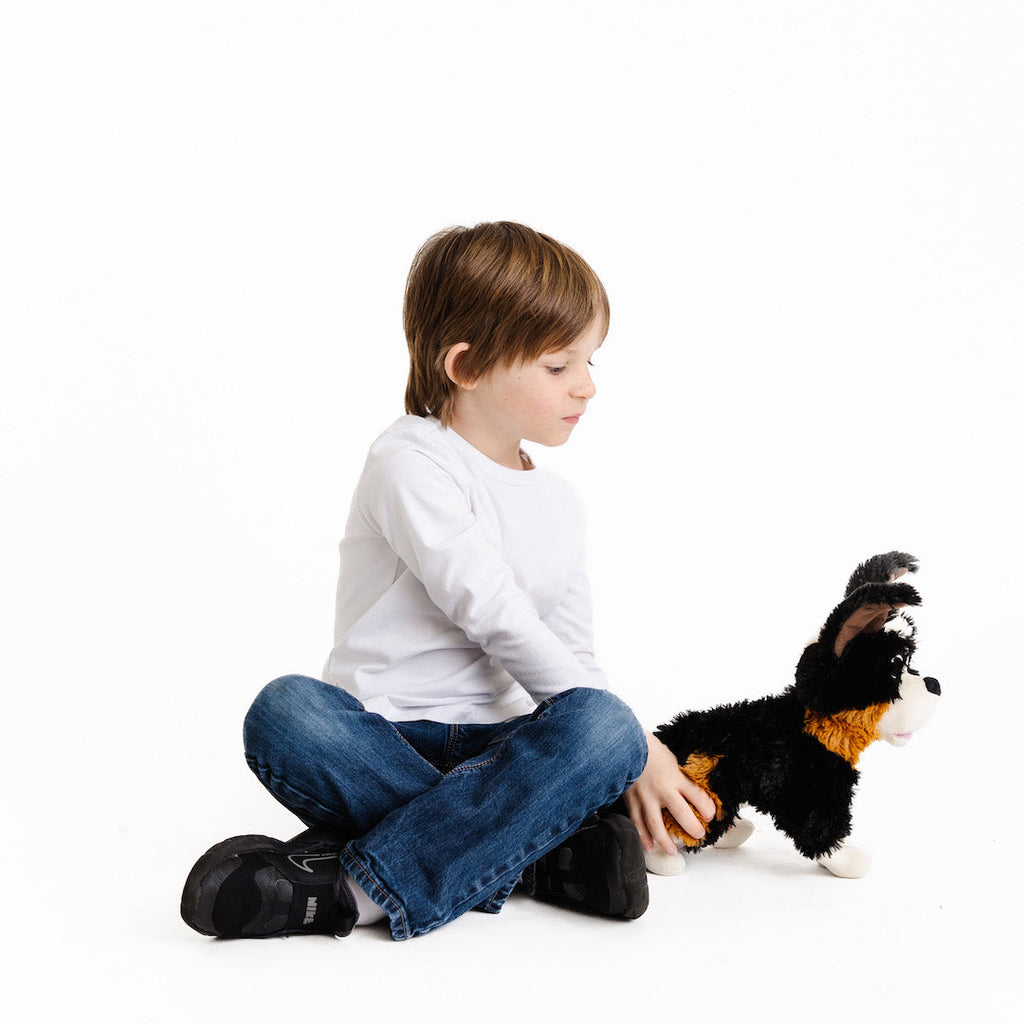 The Wingfeather Saga Plushie Bundle