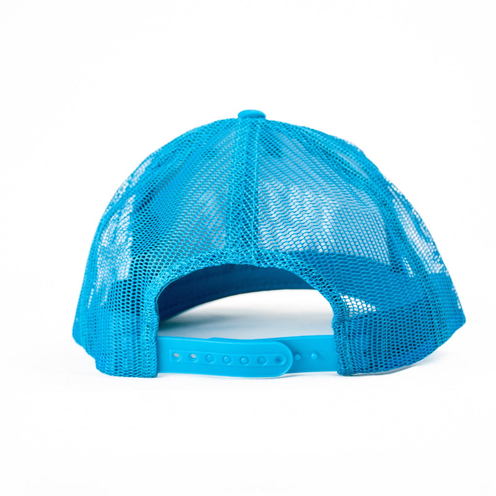 Tuttle Twins Hat