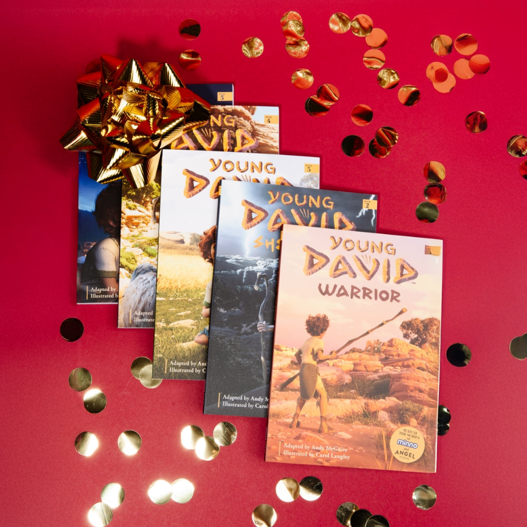 YOUNG DAVID Chapter Book Bundle